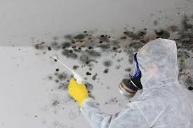 Biohazard Mold Removal in Lewiston, ID